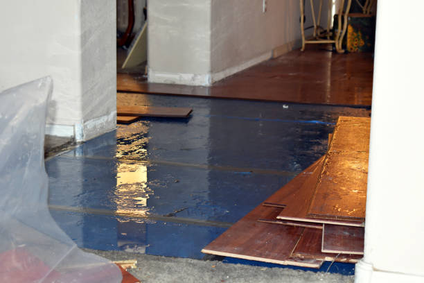 Professional Water Extraction technician working in Easton, CT